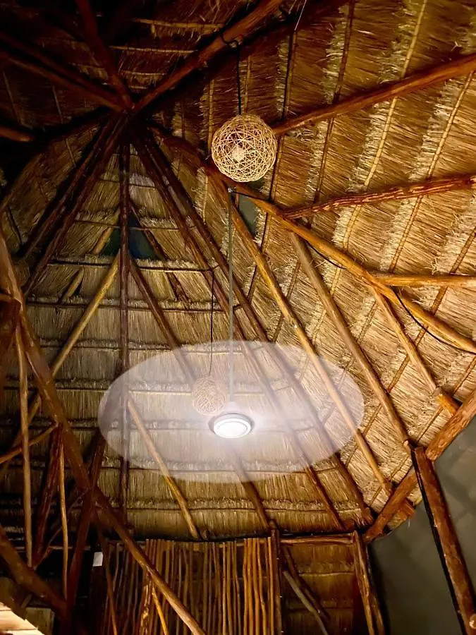 Lodge Blue Monkey Chemuyil Villa Mexico