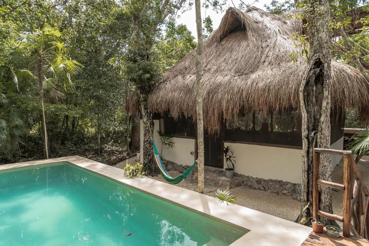 Lodge Blue Monkey Chemuyil Villa