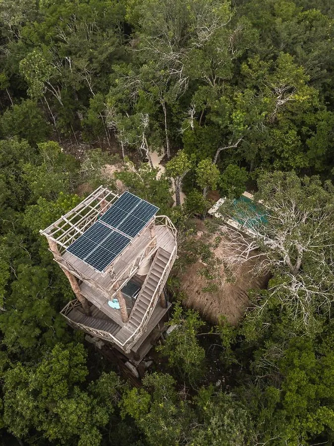 Lodge Blue Monkey Chemuyil Villa Mexico