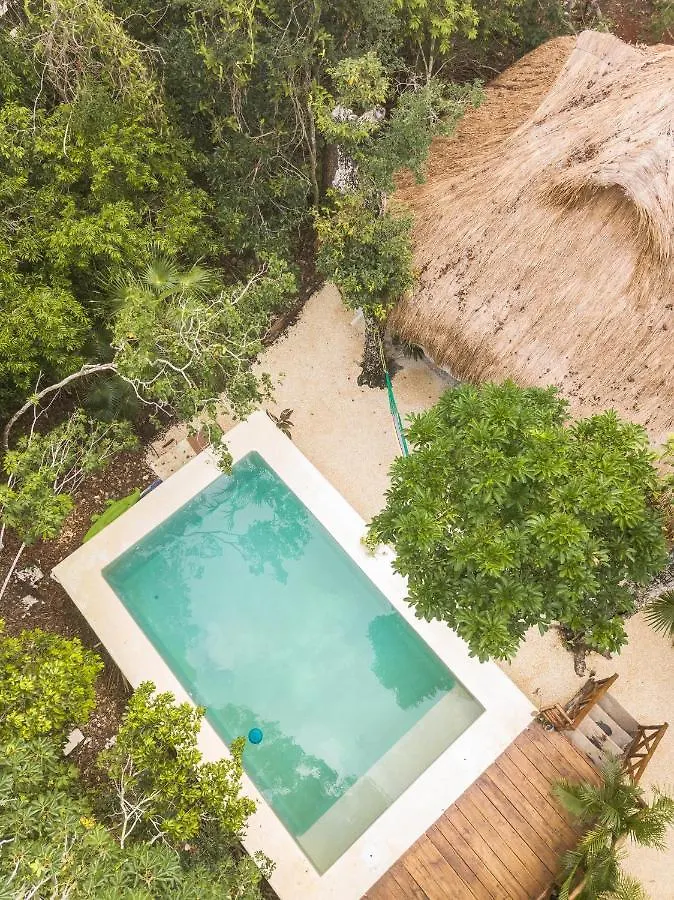 Blue Monkey Chemuyil Villa