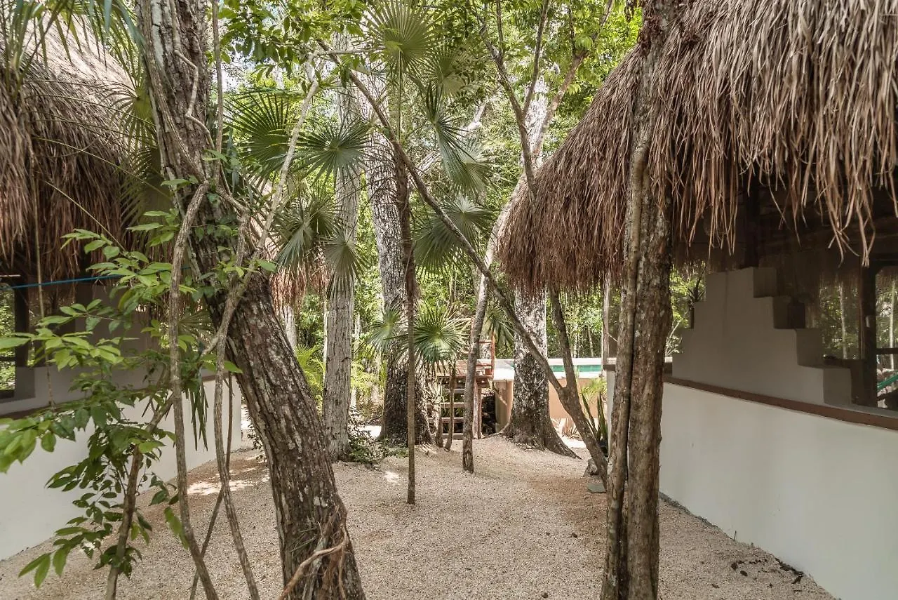 Lodge Blue Monkey Chemuyil Villa