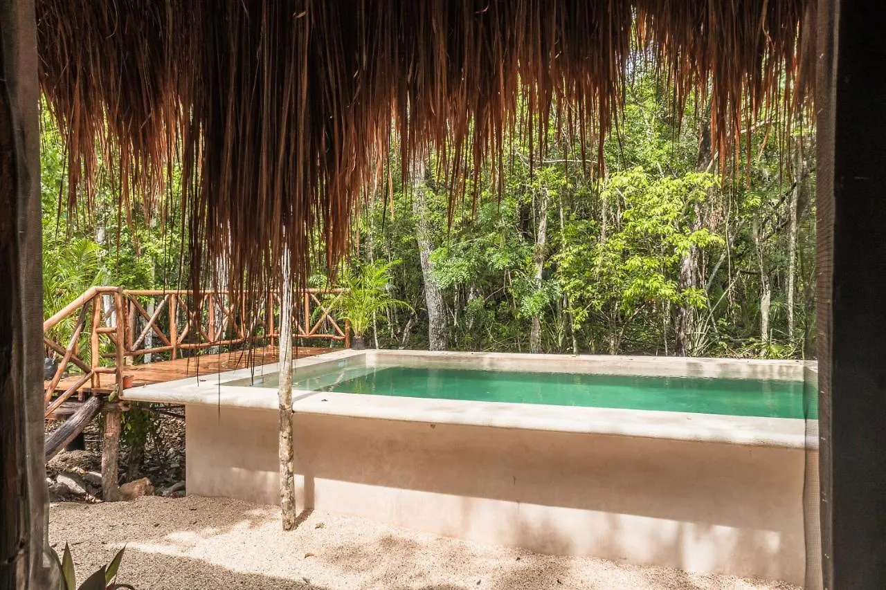 Blue Monkey Chemuyil Villa Lodge