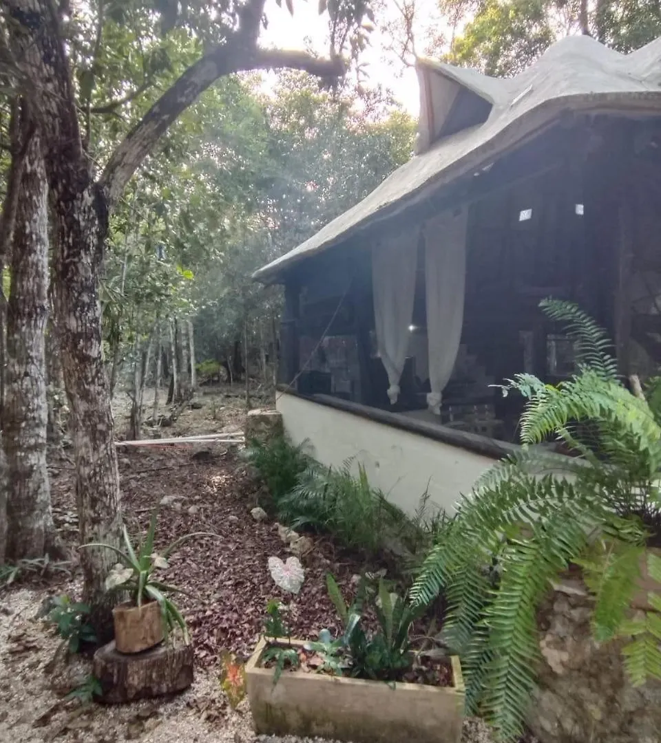 Lodge Blue Monkey Chemuyil Villa Mexico