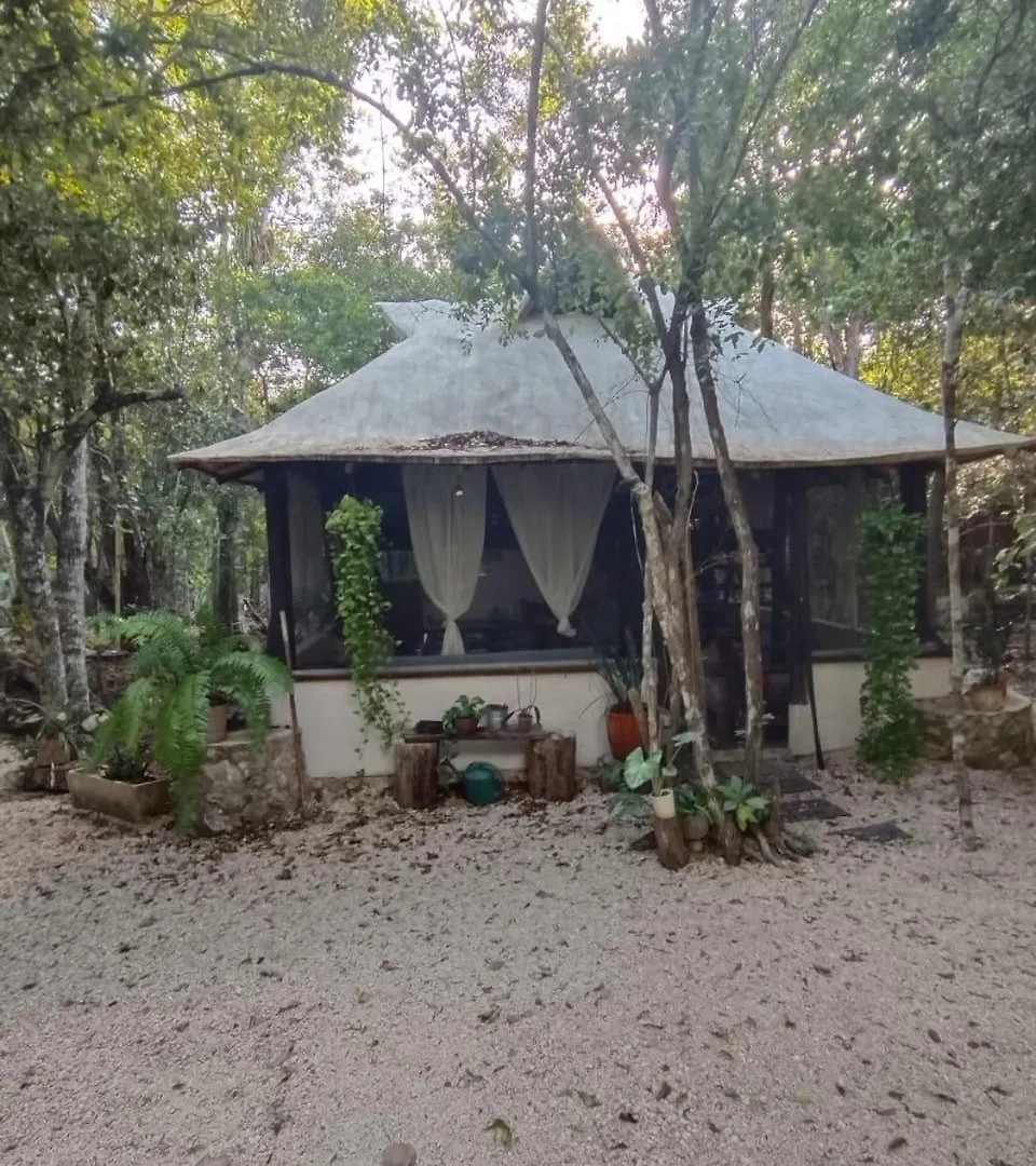 Blue Monkey Chemuyil Villa