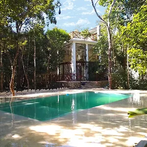 Saasil Kaax Lodge